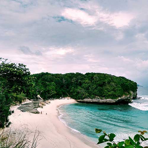 Pink-sand-beach