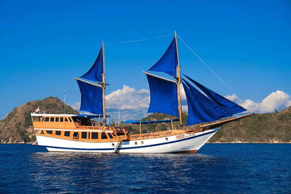 Komodo dragon tours boat option with Cruise Komodo